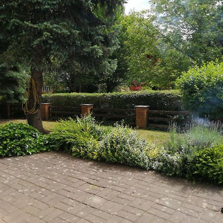 Ferienhaus Pauline Am See Müllrose المظهر الخارجي الصورة