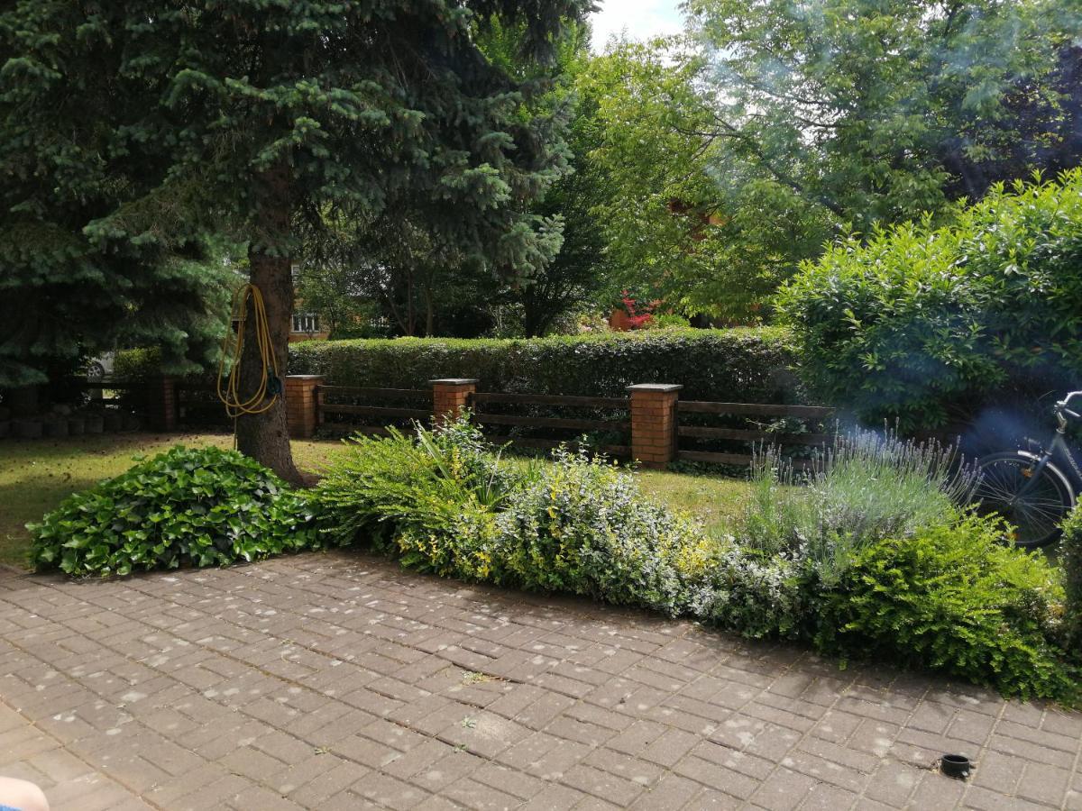 Ferienhaus Pauline Am See Müllrose المظهر الخارجي الصورة